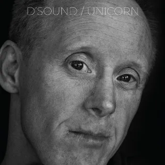 Unicorn by D'Sound