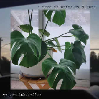 i need to water my plants by sundaynightcoffee