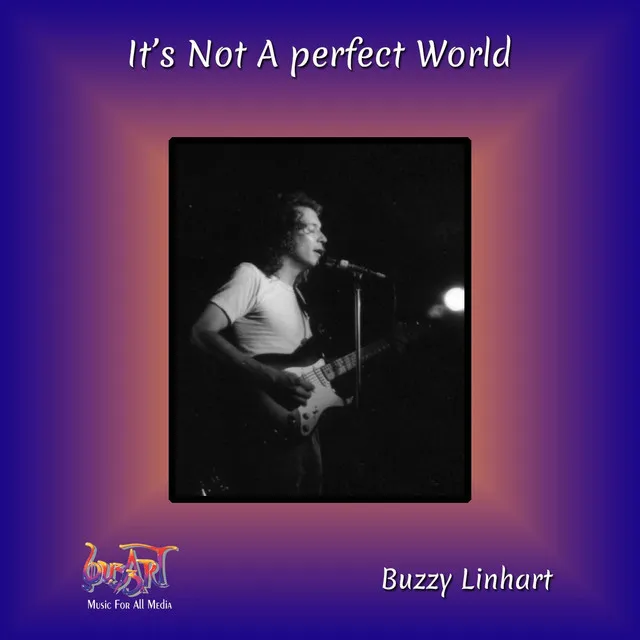 It's Not a Perfect World