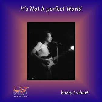 It's Not a Perfect World by Buzzy Linhart