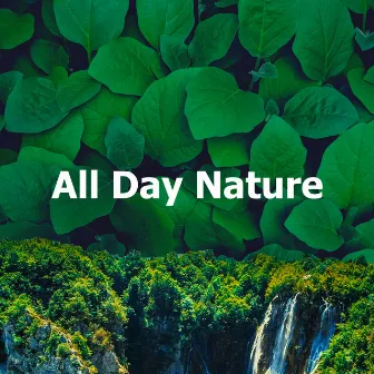 All Day Nature by 8k Sound Library