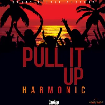 Pull It Up by Harmonic