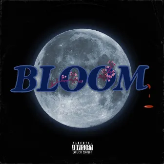 Bloom by Warner Meadows