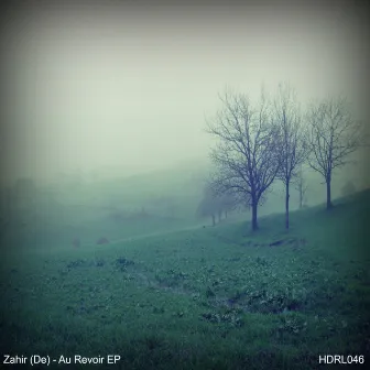 Au Revoir EP by Zahir (De)