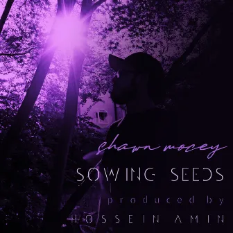 Sowing Seeds by Shawn Mocey