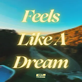 Feels Like A Dream by Vince Morgana