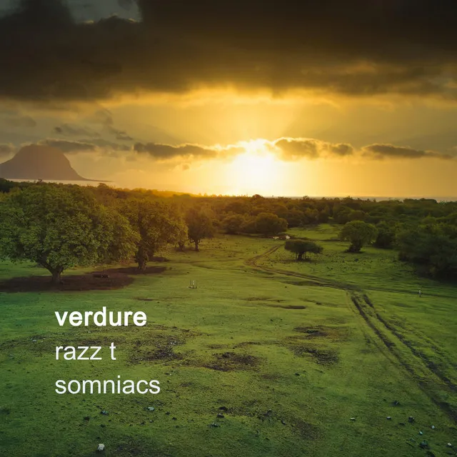 Verdure