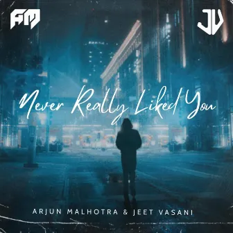 Never Really Liked You by Arjun Malhotra