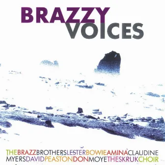 Brazzy Voices by The Brazz Brothers