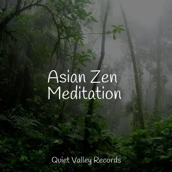 Asian Zen Meditation by Tinnitus