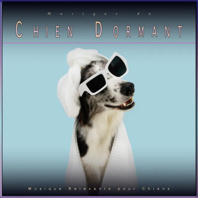 Musique Sereine pour Mon Chien