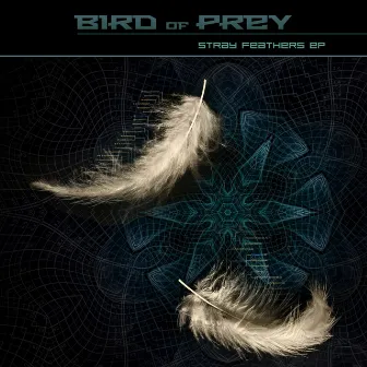 Stray Feathers by Bird of Prey