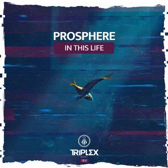 In This Life by Prosphere