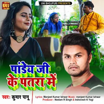 Pandey Ji Ke Patra Mein by Kumar Panu