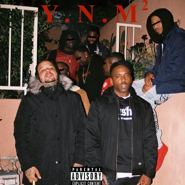 Y.N.M. (Young Nigga Movement), Vol. 2