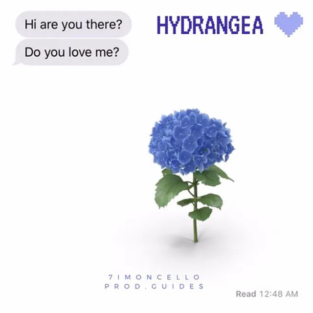 Hydrangea