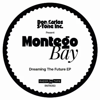 Dreaming The Future EP by Don Carlos