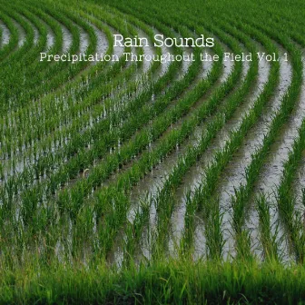 Rain Sounds: Precipitation Throughout the Field Vol. 1 by Source Vibrations