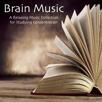 Brain Music: A Relaxing Music Collection for Studying Concentration by Relaxing Music House