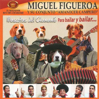 Mascotas del Chamamé by Miguel Figueroa y Su Conjunto Amanecer Campero