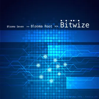 Bitwize by Blooma Root