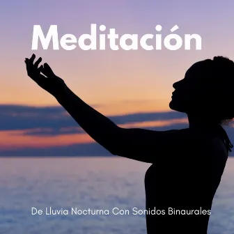 Meditación De Lluvia Nocturna Con Sonidos Binaurales by Unknown Artist