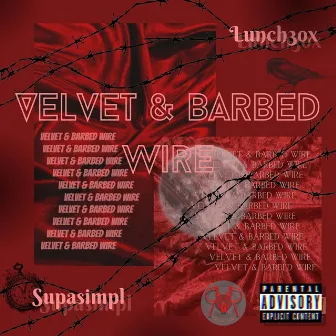 Velvet & Barbed Wire by Lunch3ox