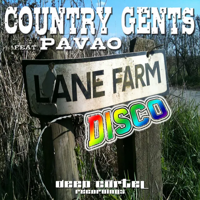 Lane Farm Disco - Steve Littlemen Dub