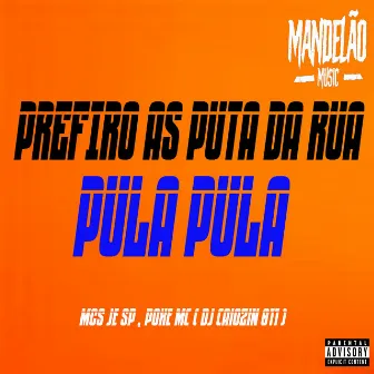 Prefiro as Putas da Rua (Pula Pula) by MC JE SP