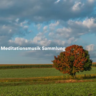 Meditationsmusik Sammlung by Entspannungsmusik & Wellness