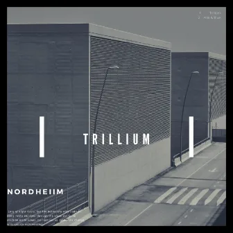 Trillium by Nordheiim