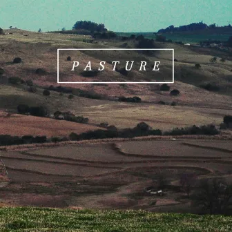 Pasture by Creech