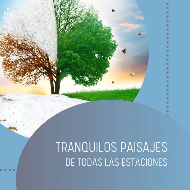 Tranquilos Paisajes de Todas las Estaciones