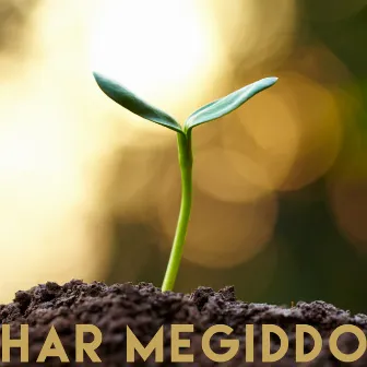 Growing by Har Megiddo