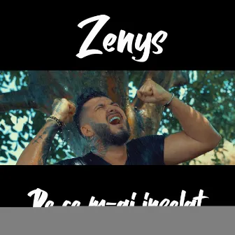 De ce m-ai inselat by Zenys