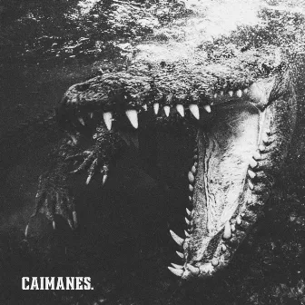 CAIMANES by GATEKÍ