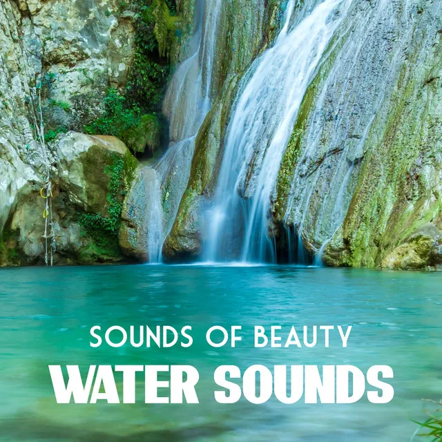 Sounds of Beauty