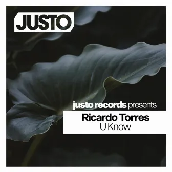 U Know by Ricardo Torres