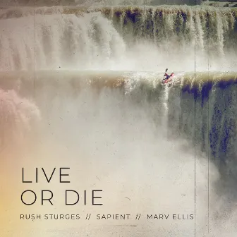 Live or Die by Rush Sturges