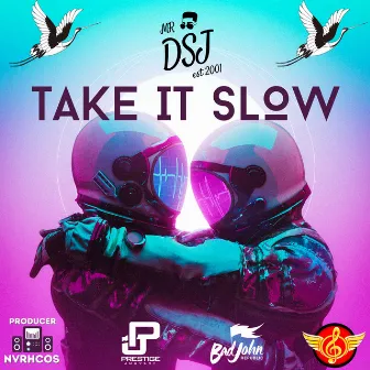 TAKE IT SLOW by MR DSJ