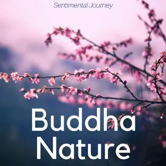 Buddha Nature: Quiet your Mind, Guided Meditation Music, Joy of Life, Sentimental Journey by Life Relax