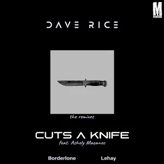 Cuts Like a Knife (Lehay Remix) by Ashley Mazanec