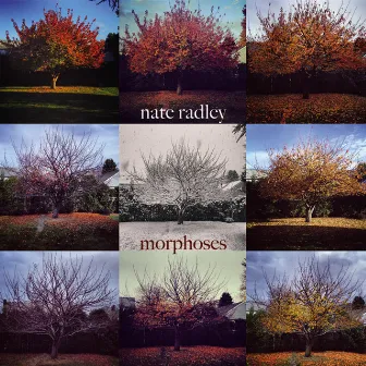 Morphoses by Nate Radley