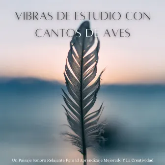 Vibras De Estudio Con Cantos De Aves: Un Paisaje Sonoro Relajante Para El Aprendizaje Mejorado Y La Creatividad by Naturaleza y sonidos de pájaros