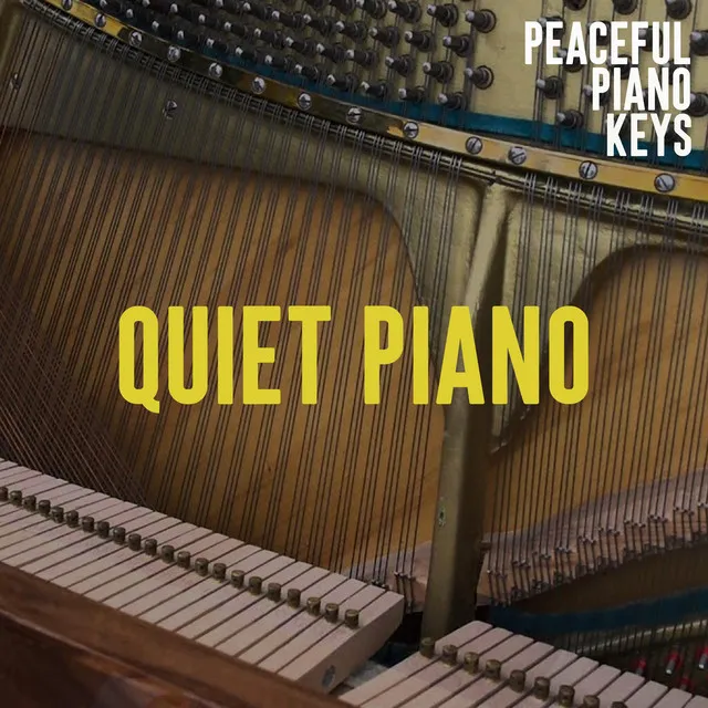 Quiet Piano