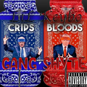 Gang Shyte by DJ J ROC 903