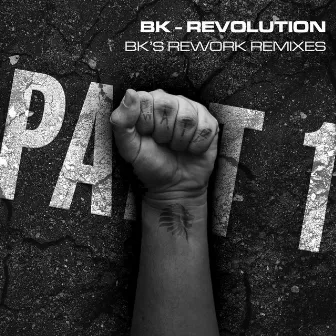 Revolution - Bk's Rework (Remixes Part 1) by BK