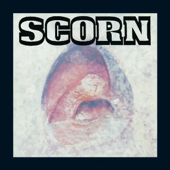 Vae Solis by Scorn