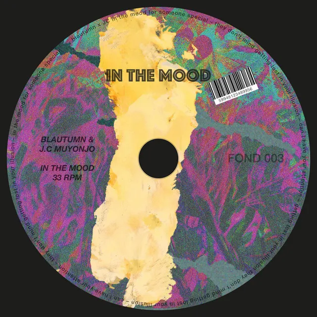 IN THE MOOD - Radio Edit