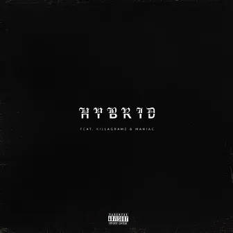 Hybrid by Sikboy